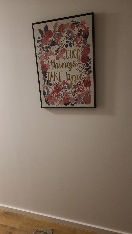 Zen Apartmani Novi Sad Dış mekan fotoğraf