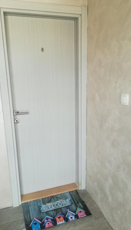Zen Apartmani Novi Sad Dış mekan fotoğraf