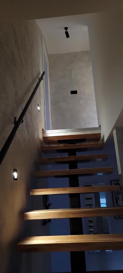 Zen Apartmani Novi Sad Dış mekan fotoğraf