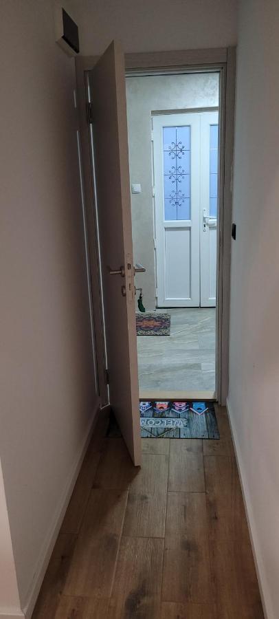 Zen Apartmani Novi Sad Dış mekan fotoğraf