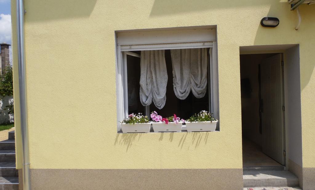 Zen Apartmani Novi Sad Dış mekan fotoğraf