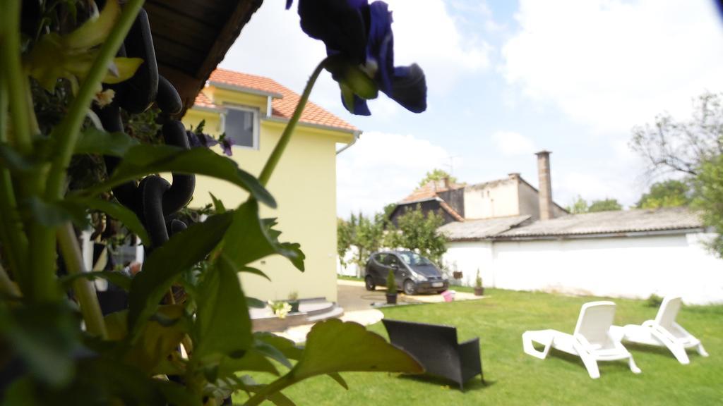 Zen Apartmani Novi Sad Dış mekan fotoğraf